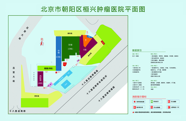 男人操极品白虎北京市朝阳区桓兴肿瘤医院平面图